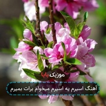 آهنگ اسیرم یه اسیرم میخوام برات بمیرم
