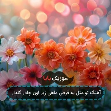 آهنگ تو مثل یه قرص ماهی زیر اون چادر گلدار
