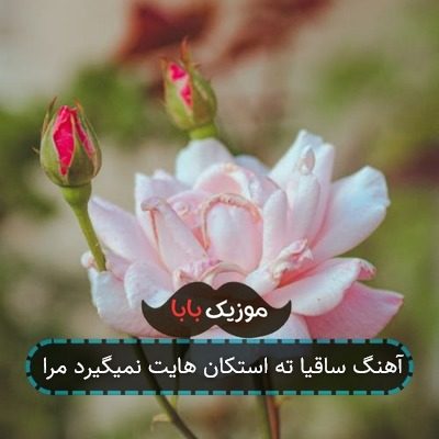 آهنگ ساقیا ته استکان هایت نمیگیرد مرا