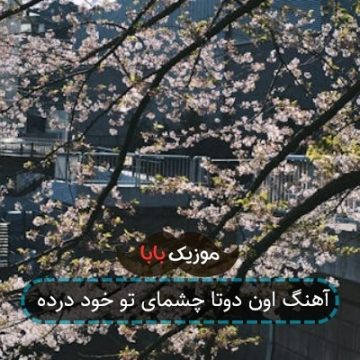 آهنگ هرچی از عشق میگی دروغ محضه