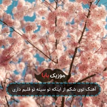 آهنگ توی شکم از اینکه تو سینه تو قلبم داری