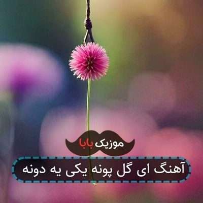 آهنگ ای گل پونه یکی یه دونه