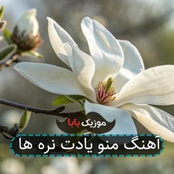 آهنگ منو یادت نره ها آهنگ منو یادت نره ها
