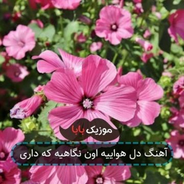 آهنگ دل هواییه اون نگاهیه که داری