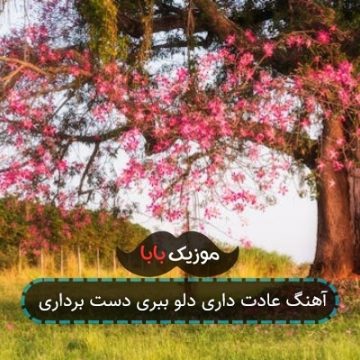 آهنگ عادت داری دلو ببری دست برداری