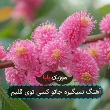 آهنگ نمیگیره جاتو کسی توی قلبم آهنگ نمیگیره جاتو کسی توی قلبم