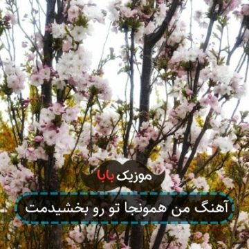 آهنگ من همونجا تو رو بخشیدمت