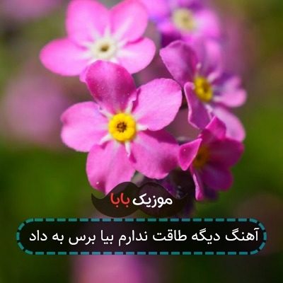 آهنگ دیگه طاقت ندارم بیا برس به داد