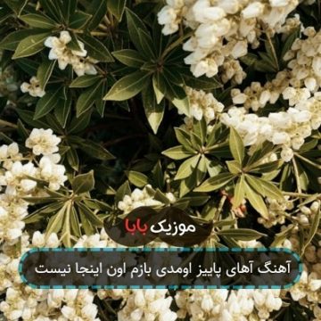 آهنگ آهای پاییز اومدی بازم اون اینجا نیست
