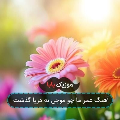 آهنگ عمر ما چو موجی به دریا گذشت