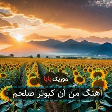 آهنگ ﻣﻦ آن ﻛﺒﻮﺗﺮ ﺻﻠﺤﻢ