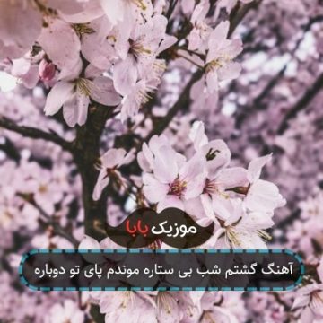 آهنگ گشتم شب بی ستاره موندم پای تو دوباره