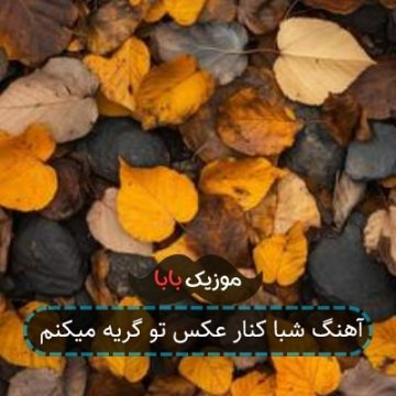 آهنگ شبا کنار عکس تو گریه میکنم آهنگ شبا کنار عکس تو گریه میکنم