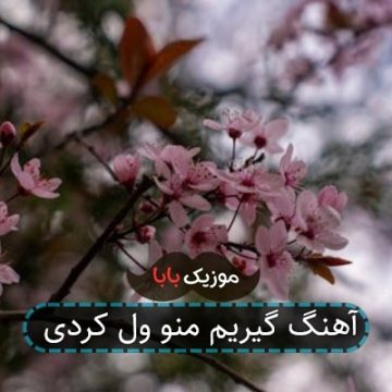 آهنگ گیریم منو ول کردی