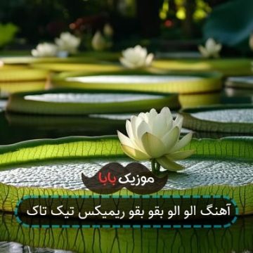 آهنگ الو الو بقو بقو ریمیکس تیک تاک آهنگ الو الو بقو بقو ریمیکس تیک تاک