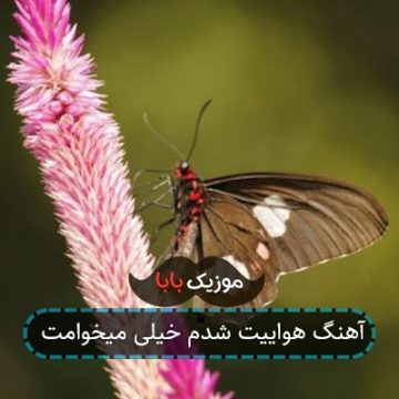 آهنگ هواییت شدم خیلی میخوامت