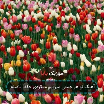 آهنگ تو هر جمعی میرفتم میکردی حفظ فاصله