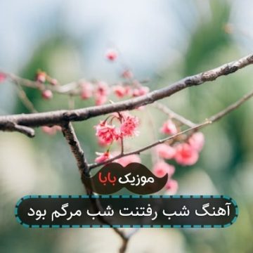 آهنگ شب رفتنت شب مرگم بود