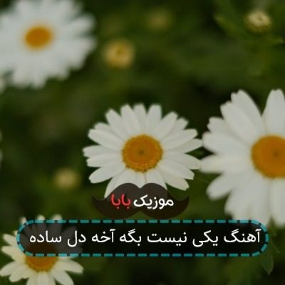 آهنگ یکی نیست بگه آخه دل ساده