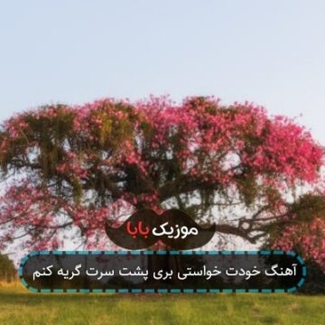 آهنگ خودت خواستی بری پشت سرت گریه کنم