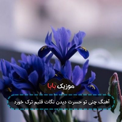 آهنگ فکر کنم طناب دار شده تنها راه چارم