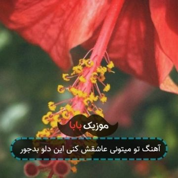 آهنگ تو میتونی عاشقش کنی این دلو بدجور