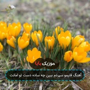 آهنگ قلبمو سپردم ببین چه ساده دست تو امانت