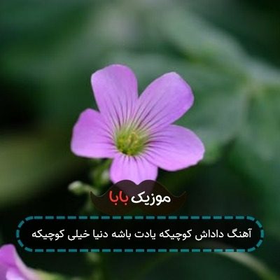 آهنگ داداش کوچیکه یادت باشه دنیا خیلی کوچیکه