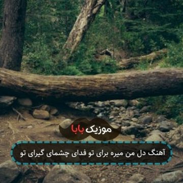 آهنگ دل من میره برای تو فدای چشمای گیرای تو