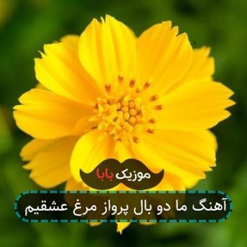 آهنگ ما دو بال پرواز مرغ عشقیم آهنگ ما دو بال پرواز مرغ عشقیم