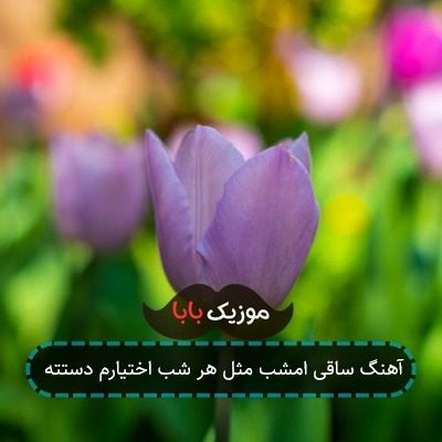 آهنگ ساقی امشب مثل هر شب اختیارم دستته آهنگ ساقی امشب مثل هر شب اختیارم دستته