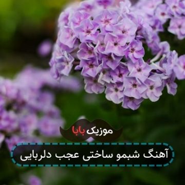 آهنگ شبمو ساختی عجب دلربایی آهنگ شبمو ساختی عجب دلربایی