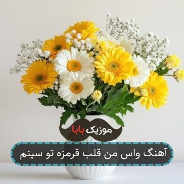 آهنگ واس من قلب قرمزه تو سینم آهنگ واس من قلب قرمزه تو سینم
