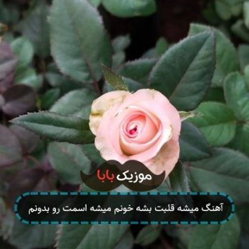 آهنگ میشه قلبت بشه خونم میشه اسمت رو بدونم آهنگ میشه قلبت بشه خونم میشه اسمت رو بدونم