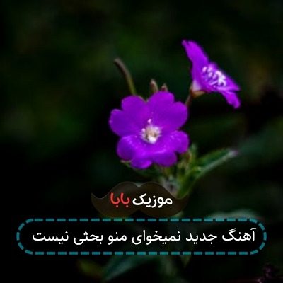 آهنگ جدید نمیخوای منو بحثی نیست آهنگ جدید نمیخوای منو بحثی نیست