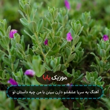 اهنگ من اعتماد داشتم به ادما ریمیکس