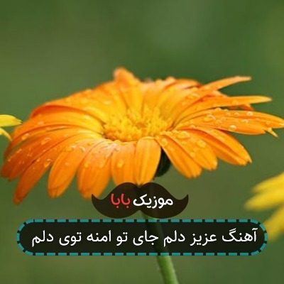 آهنگ عزیز دلم جای تو امنه توی دلم آهنگ عزیز دلم جای تو امنه توی دلم