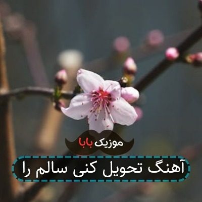 آهنگ تحویل کنی سالم را