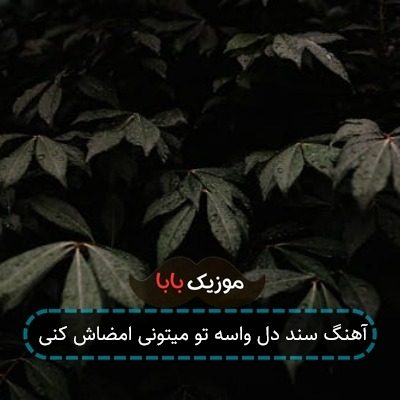 آهنگ سند دل واسه تو میتونی امضاش کنی آهنگ سند دل واسه تو میتونی امضاش کنی
