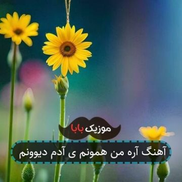 آهنگ آره من همونم ی آدم دیوونم آهنگ آره من همونم ی آدم دیوونم