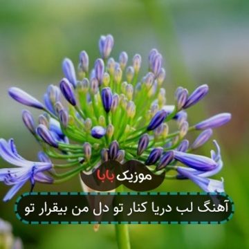 آهنگ لب دریا کنار تو دل من بیقرار تو