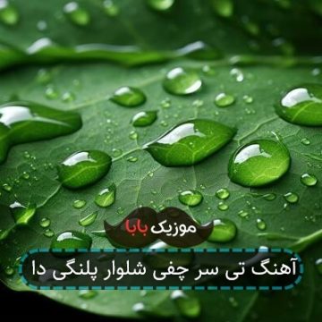 آهنگ تی سر چفی شلوار پلنگی دا