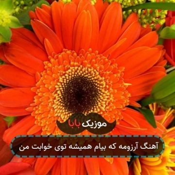 آهنگ آرزومه که بیام همیشه توی خوابت من