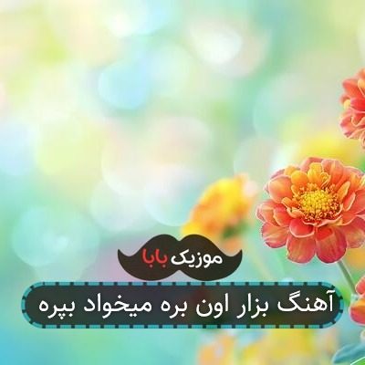 آهنگ بزار اون بره میخواد بپره