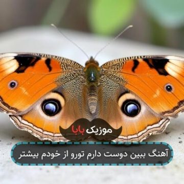 آهنگ ببین دوست دارم تورو از خودم بیشتر آهنگ ببین دوست دارم تورو از خودم بیشتر