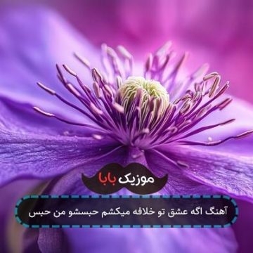 آهنگ اگه عشق تو خلافه میکشم حبسشو من حبس