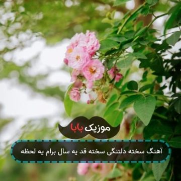 آهنگ سخته دلتنگی سخته قد یه سال برام یه لحظه
