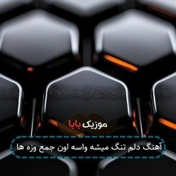 آهنگ دلم تنگ میشه واسه اون جمع وزه ها