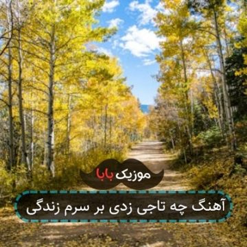 آهنگ چه تاجی زدی بر سرم زندگی