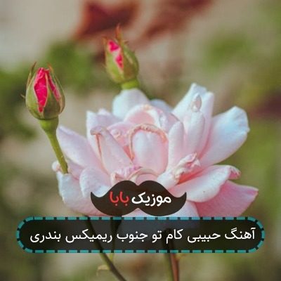 آهنگ حبیبی کام تو جنوب ریمیکس بندری